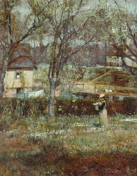 Rural Scene